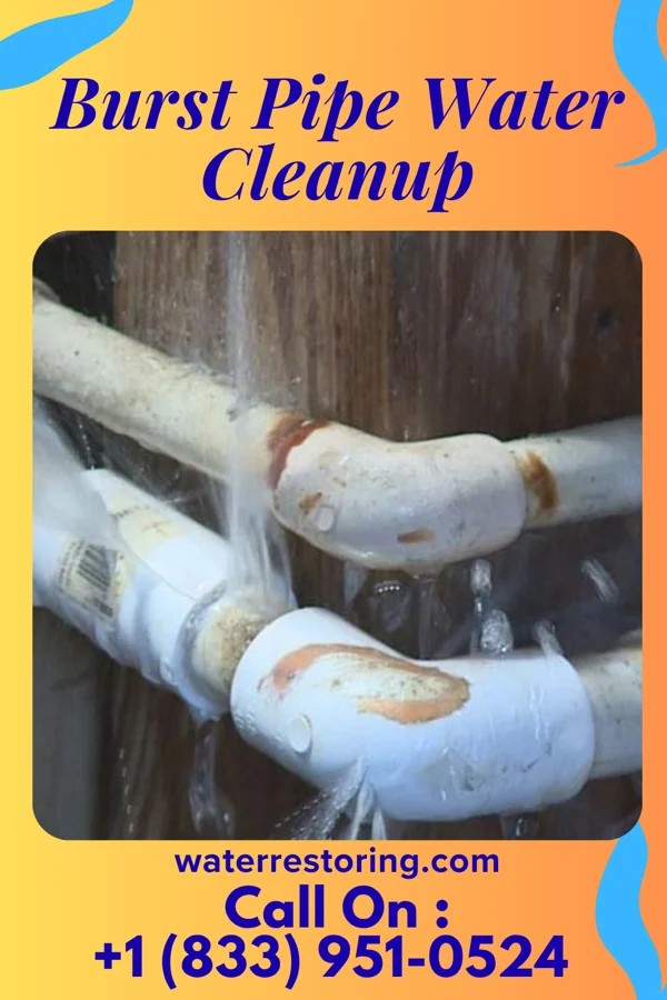 Burst Pipe Water Cleanup in Lakeside, OH