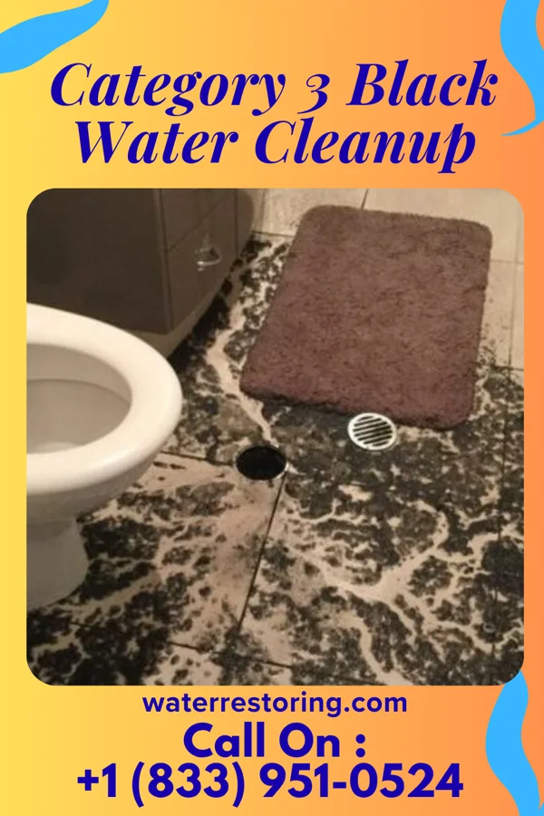 Category 3 Black Water Cleanup in Lakeside, OH