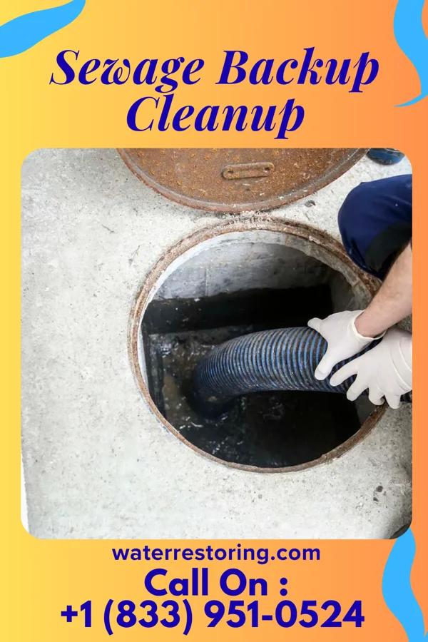 Sewage Backup Cleanup in Lakeside, OH