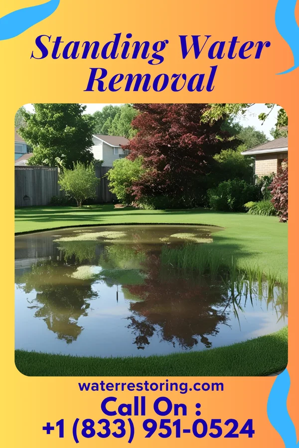Standing Water Removal in Lakeside, OH
